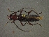  ( - CER-151)  @13 [ ] Unspecified (default): All Rights Reserved  Unspecified Unspecified