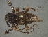  ( - CER-165)  @13 [ ] Unspecified (default): All Rights Reserved  Unspecified Unspecified