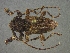  ( - CER-167)  @13 [ ] Unspecified (default): All Rights Reserved  Unspecified Unspecified