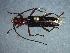 ( - CER-172)  @12 [ ] Unspecified (default): All Rights Reserved  Unspecified Unspecified