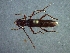  ( - CER-174)  @12 [ ] Unspecified (default): All Rights Reserved  Unspecified Unspecified