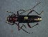  ( - CER-176)  @13 [ ] Unspecified (default): All Rights Reserved  Unspecified Unspecified