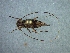  ( - CER-177)  @12 [ ] Unspecified (default): All Rights Reserved  Unspecified Unspecified