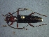  ( - CER-195)  @12 [ ] Unspecified (default): All Rights Reserved  Unspecified Unspecified