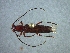  ( - CER-197)  @12 [ ] Unspecified (default): All Rights Reserved  Unspecified Unspecified