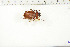  ( - BC-TB6323)  @11 [ ] Copyright (2010) Thierry Bouyer Unspecified