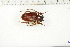  ( - BC-TB6324)  @11 [ ] Copyright (2010) Thierry Bouyer Unspecified