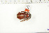  ( - BC-TB6327)  @11 [ ] Copyright (2010) Thierry Bouyer Unspecified