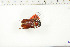 ( - BC-TB6328)  @11 [ ] Copyright (2010) Thierry Bouyer Unspecified
