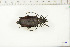  ( - BC-TB6346)  @11 [ ] Copyright (2010) Thierry Bouyer Unspecified