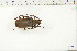  ( - BC-TB6367)  @11 [ ] Copyright (2010) Thierry Bouyer Unspecified
