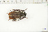 ( - BC-TB6371)  @11 [ ] Copyright (2010) Thierry Bouyer Unspecified