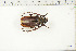  ( - BC-TB6372)  @11 [ ] Copyright (2010) Thierry Bouyer Unspecified