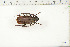  ( - BC-TB6373)  @11 [ ] Copyright (2010) Thierry Bouyer Unspecified