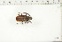  ( - BC-TB6374)  @11 [ ] Copyright (2010) Thierry Bouyer Unspecified