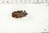  ( - BC-TB6375)  @11 [ ] Copyright (2010) Thierry Bouyer Unspecified