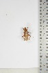  ( - BC-TB5069)  @11 [ ] Copyright (2010) Unspecified Research Collection of Thierry Bouyer