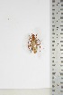  ( - BC-TB5070)  @11 [ ] Copyright (2010) Unspecified Research Collection of Thierry Bouyer