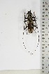  ( - BC-TB5102)  @11 [ ] Copyright (2010) Unspecified Research Collection of Thierry Bouyer