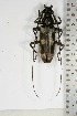  ( - BC-TB5107)  @11 [ ] Copyright (2010) Unspecified Research Collection of Thierry Bouyer