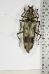  ( - BC-TB5108)  @11 [ ] Copyright (2010) Unspecified Research Collection of Thierry Bouyer