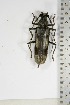  ( - BC-TB5109)  @11 [ ] Copyright (2010) Unspecified Research Collection of Thierry Bouyer
