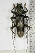  ( - BC-TB5110)  @11 [ ] Copyright (2010) Unspecified Research Collection of Thierry Bouyer