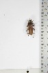  ( - BC-TB5117)  @11 [ ] Copyright (2010) Unspecified Research Collection of Thierry Bouyer