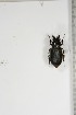  ( - BC-TB5123)  @11 [ ] Copyright (2010) Unspecified Research Collection of Thierry Bouyer