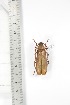  ( - BC-TB3334)  @11 [ ] Copyright (2010) Unspecified Research Collection of Thierry Bouyer