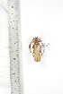  ( - BCTB3348)  @11 [ ] Copyright (2010) Unspecified Research Collection of Thierry Bouyer