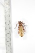  ( - BCTB3350)  @11 [ ] Copyright (2010) Unspecified Research Collection of Thierry Bouyer