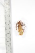  ( - BCTB3351)  @11 [ ] Copyright (2010) Unspecified Research Collection of Thierry Bouyer