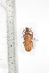  ( - BCTB3353)  @11 [ ] Copyright (2010) Unspecified Research Collection of Thierry Bouyer