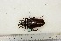  ( - BC-TB3205)  @11 [ ] Copyright (2010) Unspecified Research Collection of Thierry Bouyer