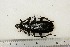  ( - BC-TB3206)  @11 [ ] Copyright (2010) Unspecified Research Collection of Thierry Bouyer