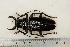  ( - BC-TB3208)  @11 [ ] Copyright (2010) Unspecified Research Collection of Thierry Bouyer