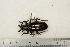  ( - BC-TB3210)  @13 [ ] Copyright (2010) Unspecified Research Collection of Thierry Bouyer