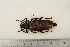  ( - BC-TB3228)  @13 [ ] Copyright (2010) Unspecified Research Collection of Thierry Bouyer