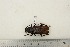  ( - BC-TB3229)  @11 [ ] Copyright (2010) Unspecified Research Collection of Thierry Bouyer