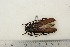  ( - BC-TB3230)  @13 [ ] Copyright (2010) Unspecified Research Collection of Thierry Bouyer