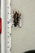  ( - BC-TB3300)  @11 [ ] Copyright (2010) Unspecified Research Collection of Thierry Bouyer