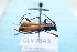  ( - CLV7843)  @11 [ ] CreativeCommons  Attribution Non-Commercial Share-Alike (2019) Carlos Lopez Vaamonde Institut National de la Recherche Agronomique, Zoologie Forestiere