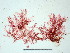  ( - GWS006241)  @11 [ ] Unspecified (default): All Rights Reserved  Unspecified Unspecified