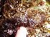  ( - GWS012742)  @11 [ ] CreativeCommons - Attribution Non-Commercial Share-Alike (2010) Unspecified University of New Brunswick