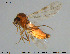  ( - AT-Cer19)  @13 [ ] Creative Commons  Attribution Non-Commercial Share-Alike (2016) NTNU University Museum, Department of Natural History NTNU University Museum, Department of Natural History