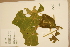  ( - CNS_CC_x02_A8)  @11 [ ] Copyright (2010) Australia Tropical Herbarium CSIRO, Queensland Government and James Cook University