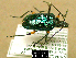  ( - NoA-08-031)  @13 [ ] Unspecified (default): All Rights Reserved  Unspecified Unspecified