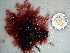  ( - GWS012625)  @11 [ ] CreativeCommons - Attribution Non-Commercial Share-Alike (2010) Unspecified University of New Brunswick