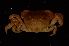  ( - ZSMA20111373)  @13 [ ] Copyright (2011) Roland Meyer Unspecified